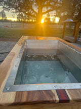 BlueCube Mini-Me Custom Cold Plunge