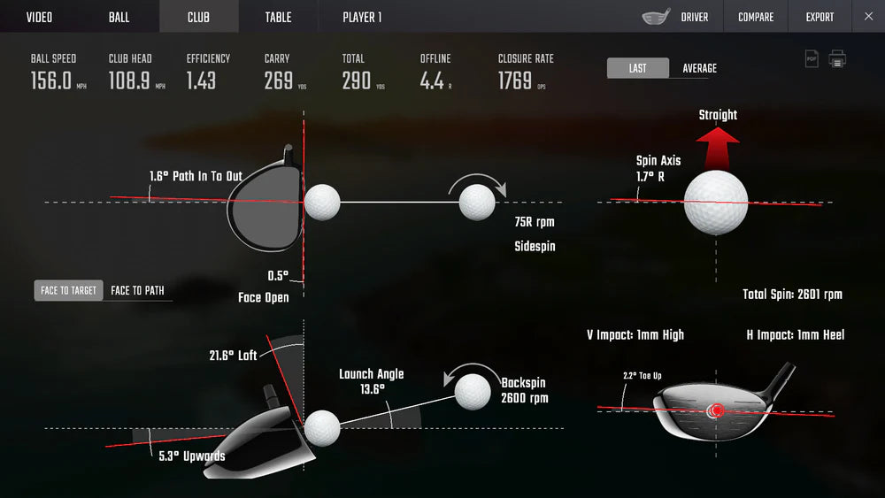 FSX 2020 Software Full-Purchase