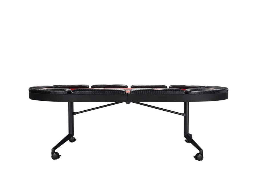10 Player Poker Table + 10 Chairs + 1 Extra Mat + 2 Side Tables + 8 Decks of Cards
