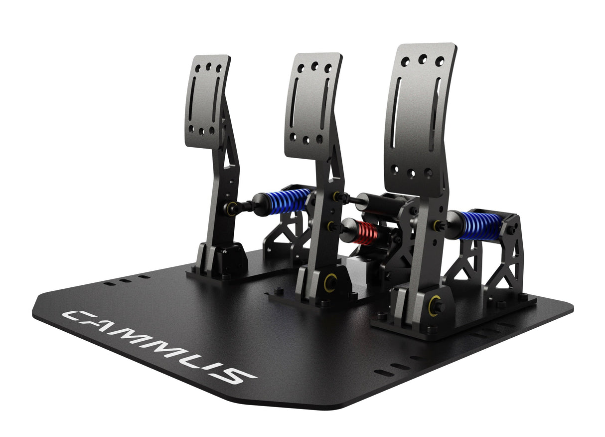 CAMMUS 15NM DDWB, LC100 Pedals & GT1 Steering Wheel Bundle