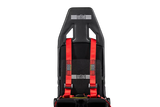 Flight Simulator