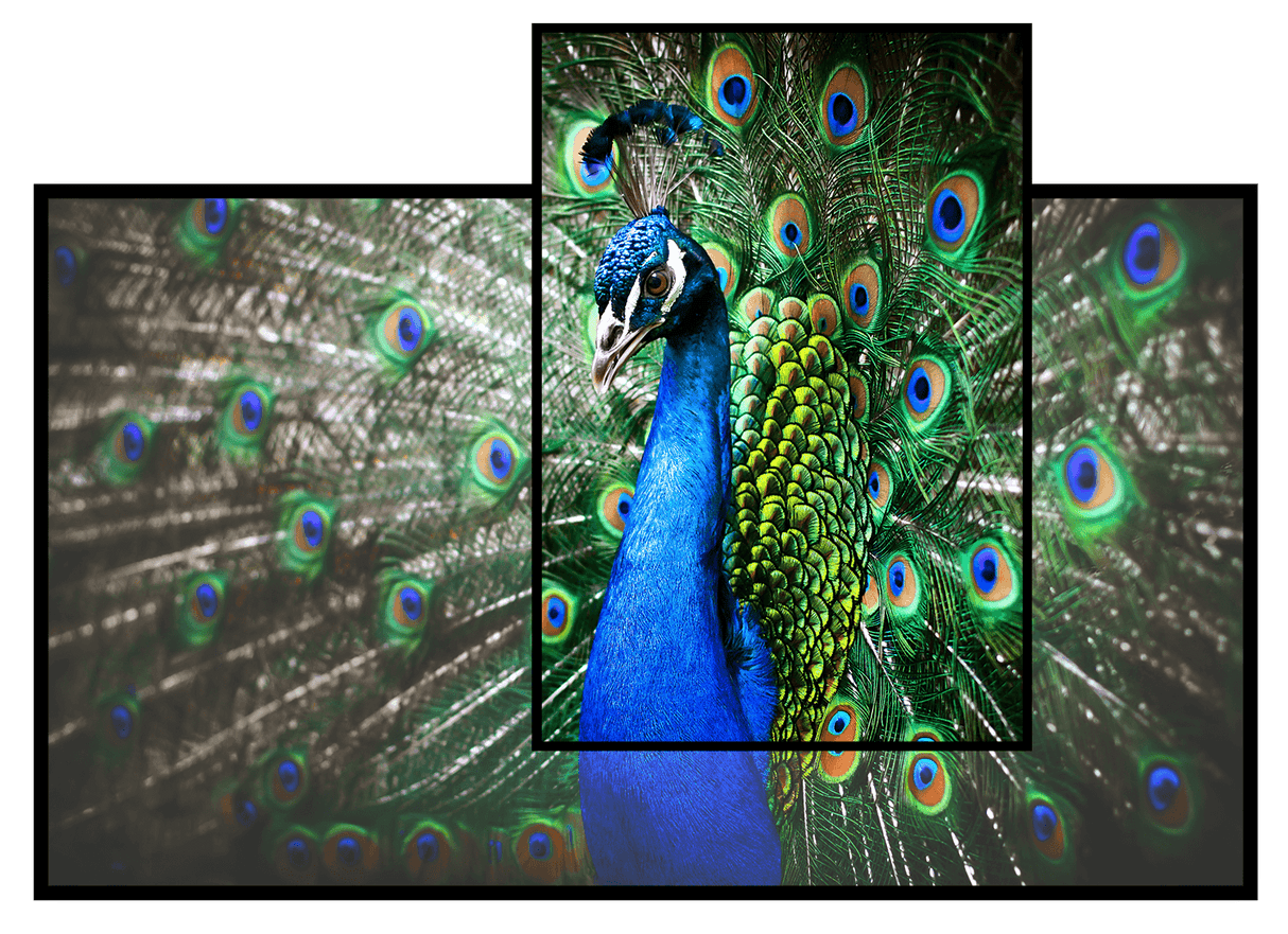 Aurora 8K EVO Ambient Light Rejection NanoEdge