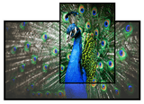 Aurora 8K EVO Ambient Light Rejection NanoEdge