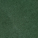 TIGS Money Putt Golf Turf